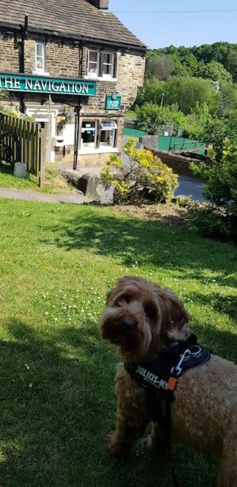 Bowie's Abode * Sowerby Bridge